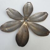 Set of 6 petals brass display