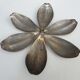 Set of 6 petals brass display