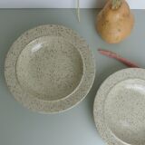 Speckled sandstone plates