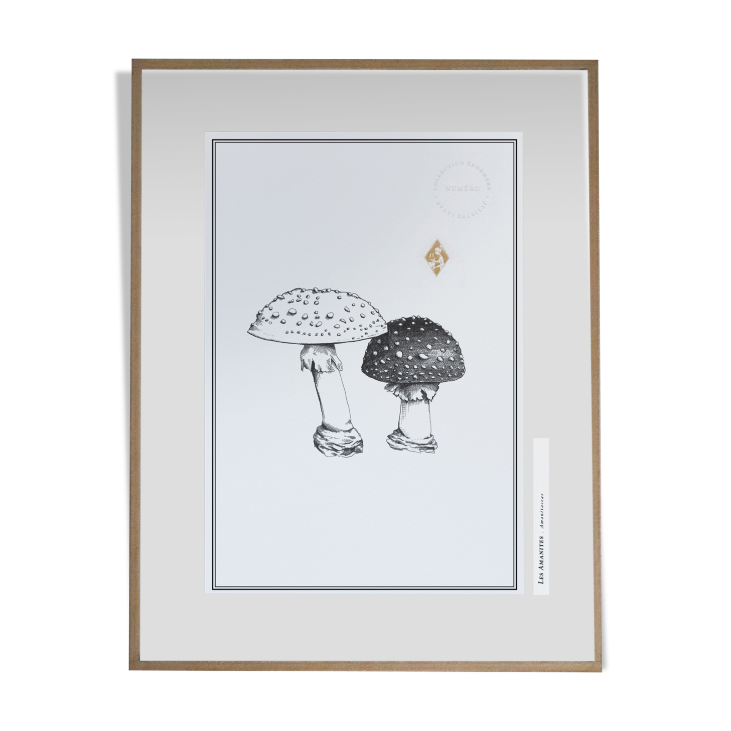 Paintings "The Amanites" - illustration