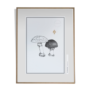 Tableaux Les Amanites - illustration