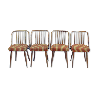 Chaises à manger design Antonin Suman par Ton, Tchécoslovaquie 1960