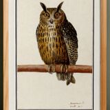 Set of 4 small posters, based on engravings from 1610