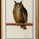 Set of 4 small posters, based on engravings from 1610