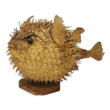 Naturalized Moonfish Lamp, 1950