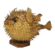 Naturalized Moonfish Lamp, 1950