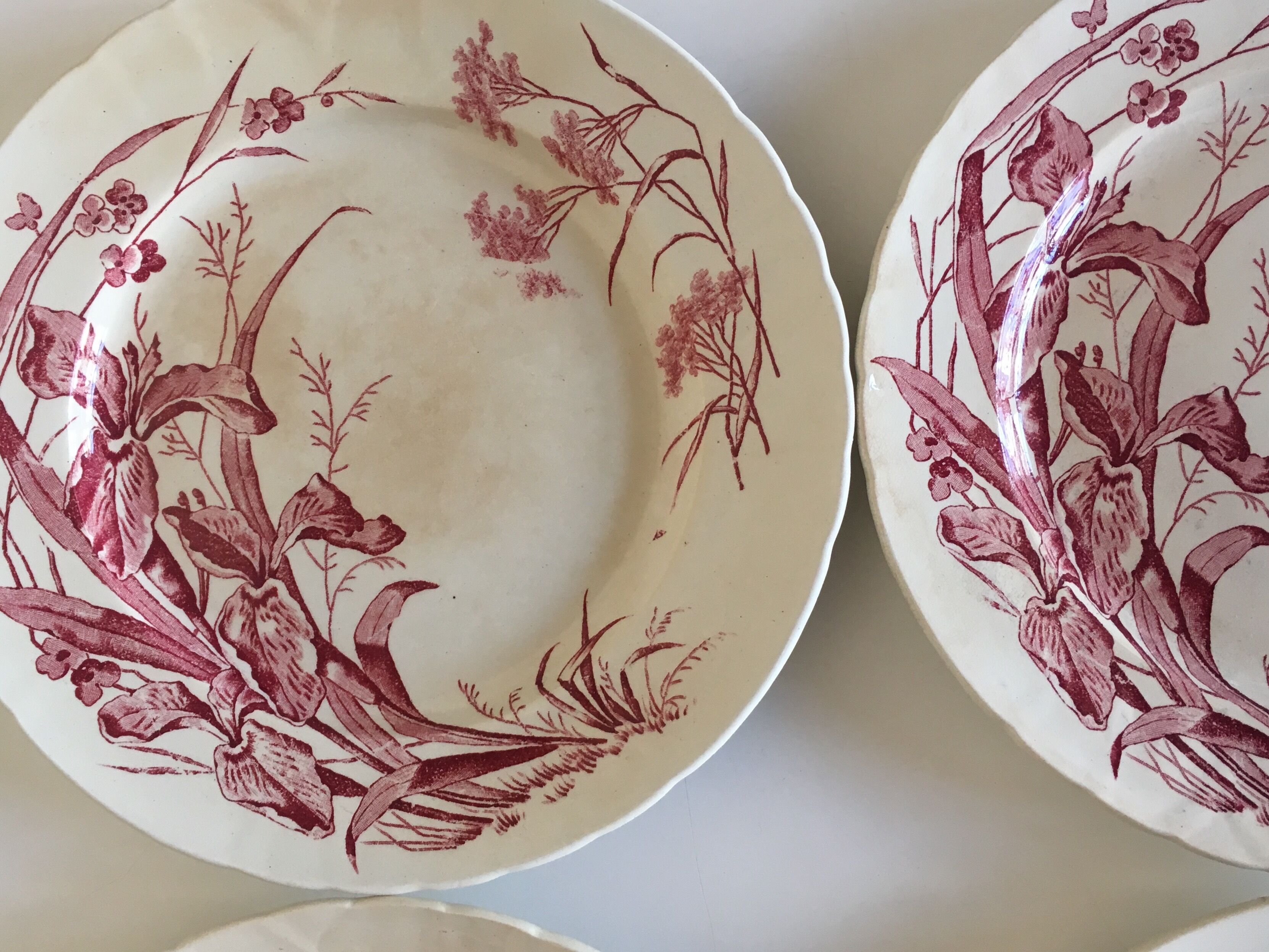 Flat plates J Vieillard Bordeaux, 1850