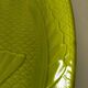 Vintage green relief fish dish Gien