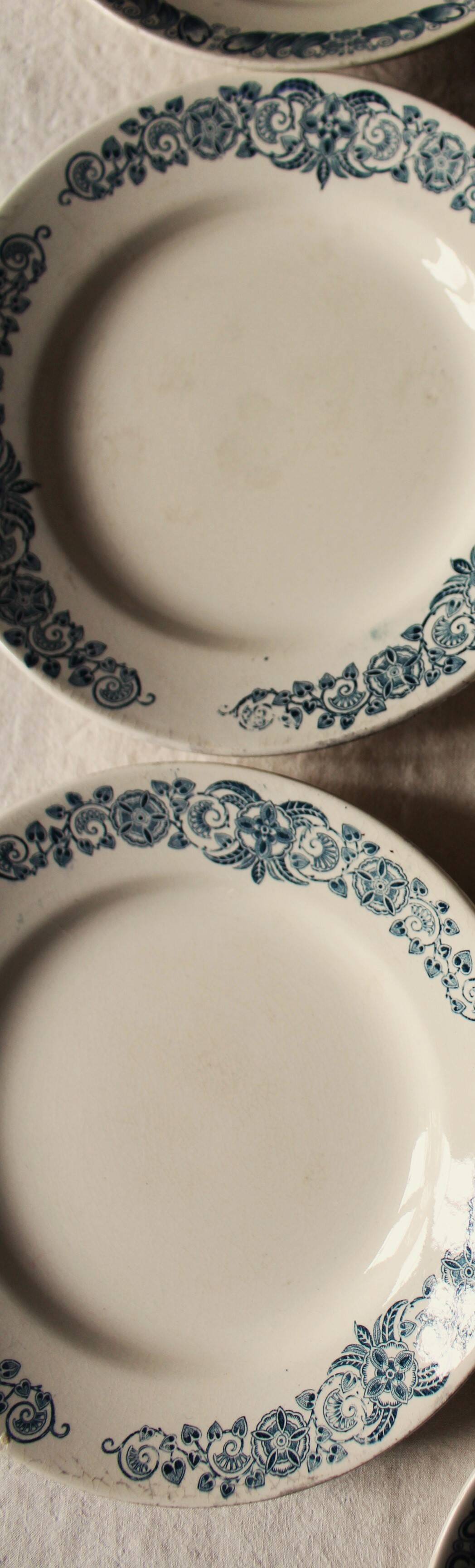 6 Terre de Fer blue Marcel Alésia Exotic Longchamp plates