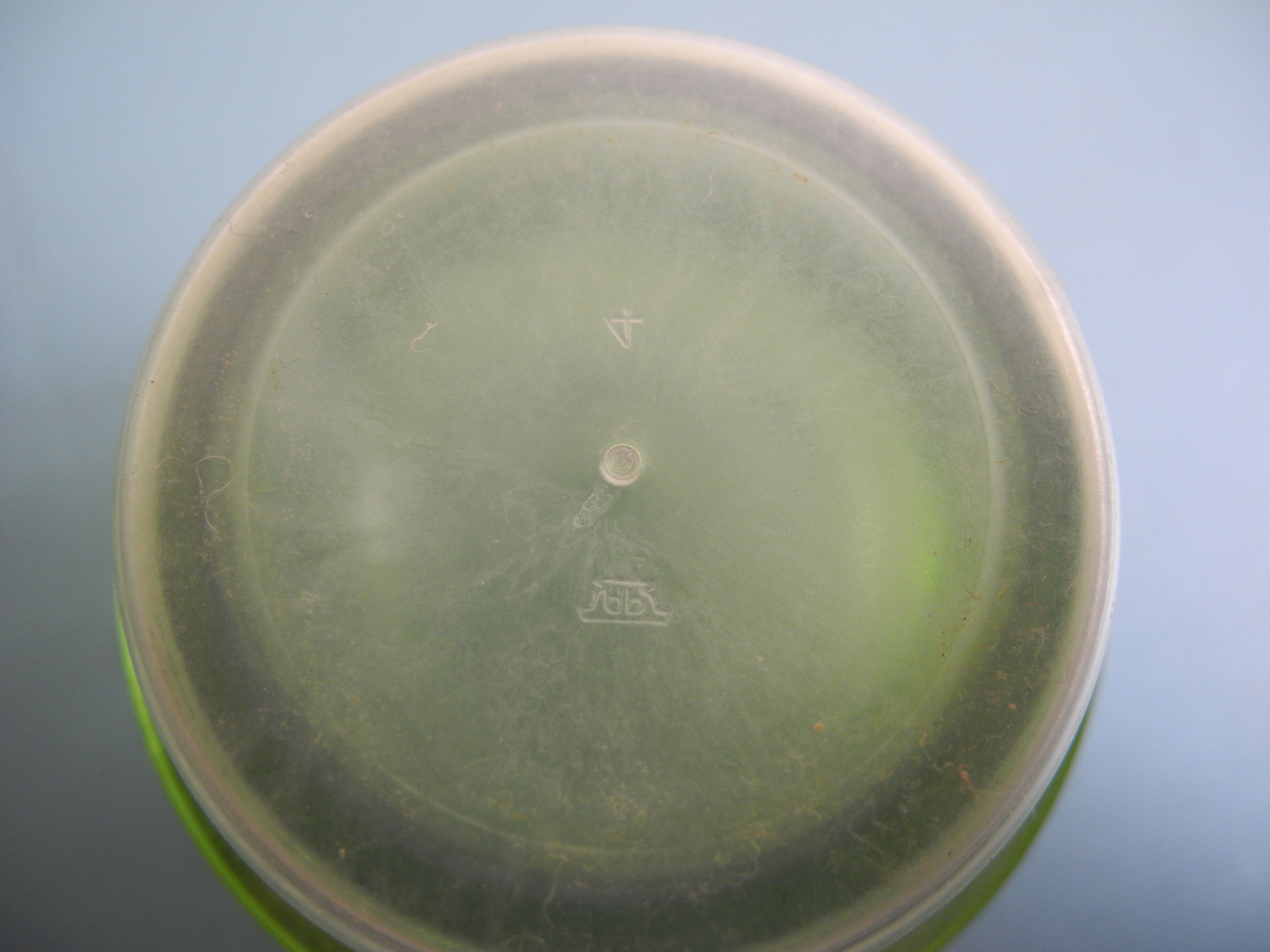 old carafe vintage bottle 70s