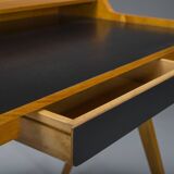 Desk by Helmut Magg for WK Möbel, 1950s