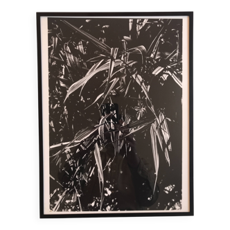 Rosine NUSIMOVICI, Untitled (Poacea I), 1980. Black and white silver print