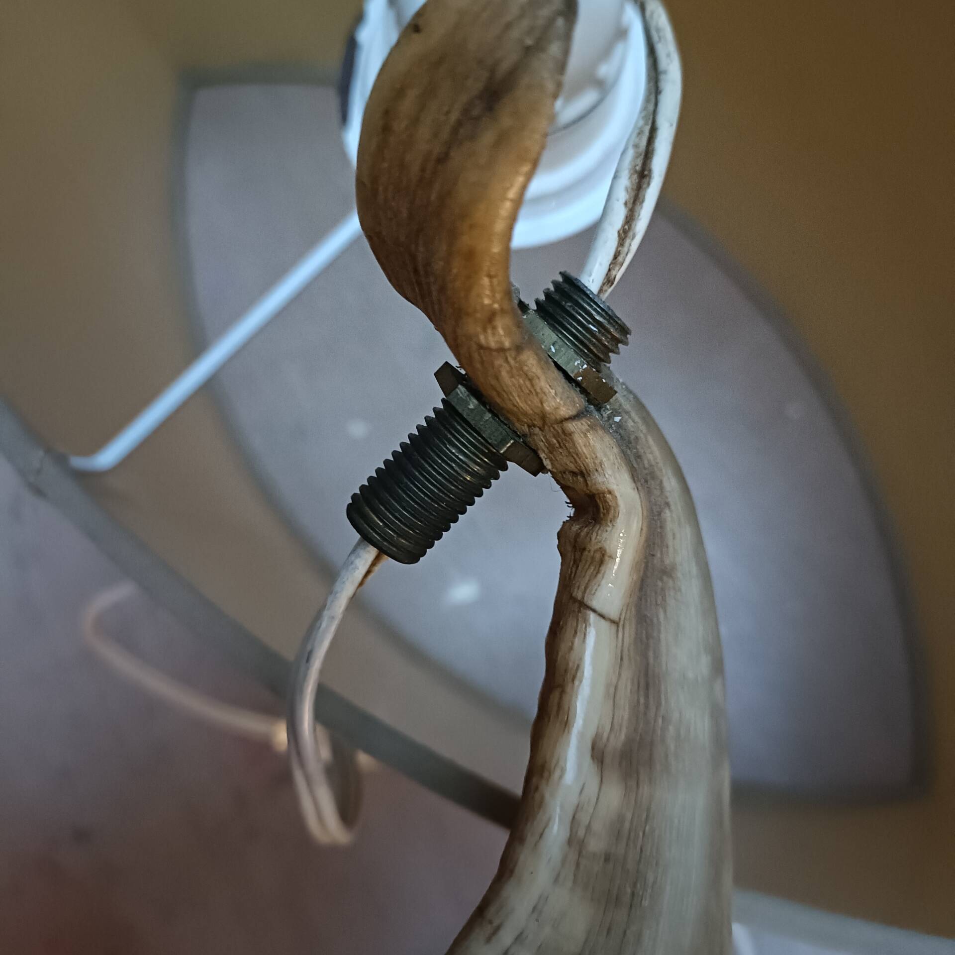 Vintage ram's horn living room lamp
