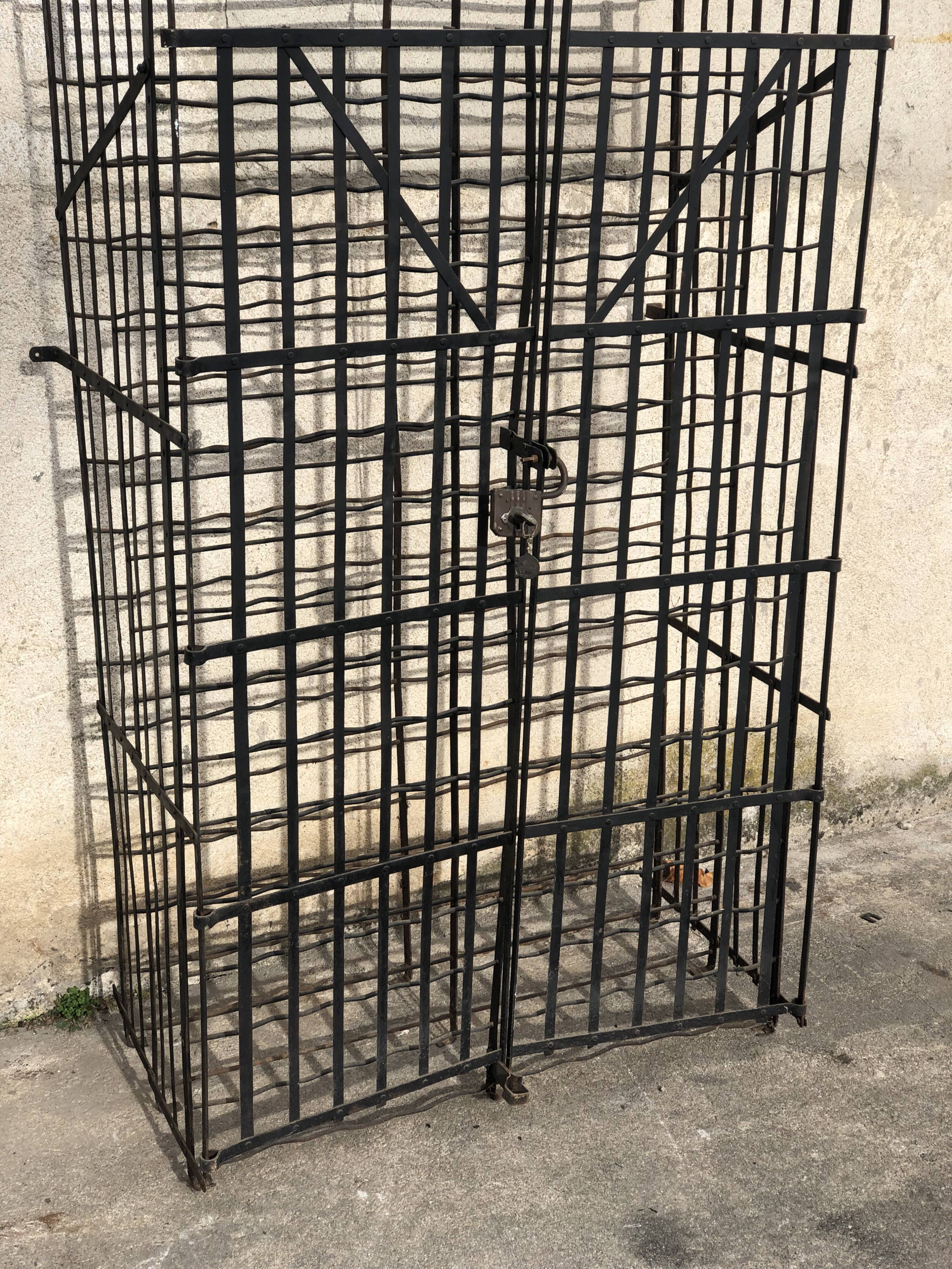 Wine cellar of 300 bottles