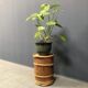 Tabouret bas vintage