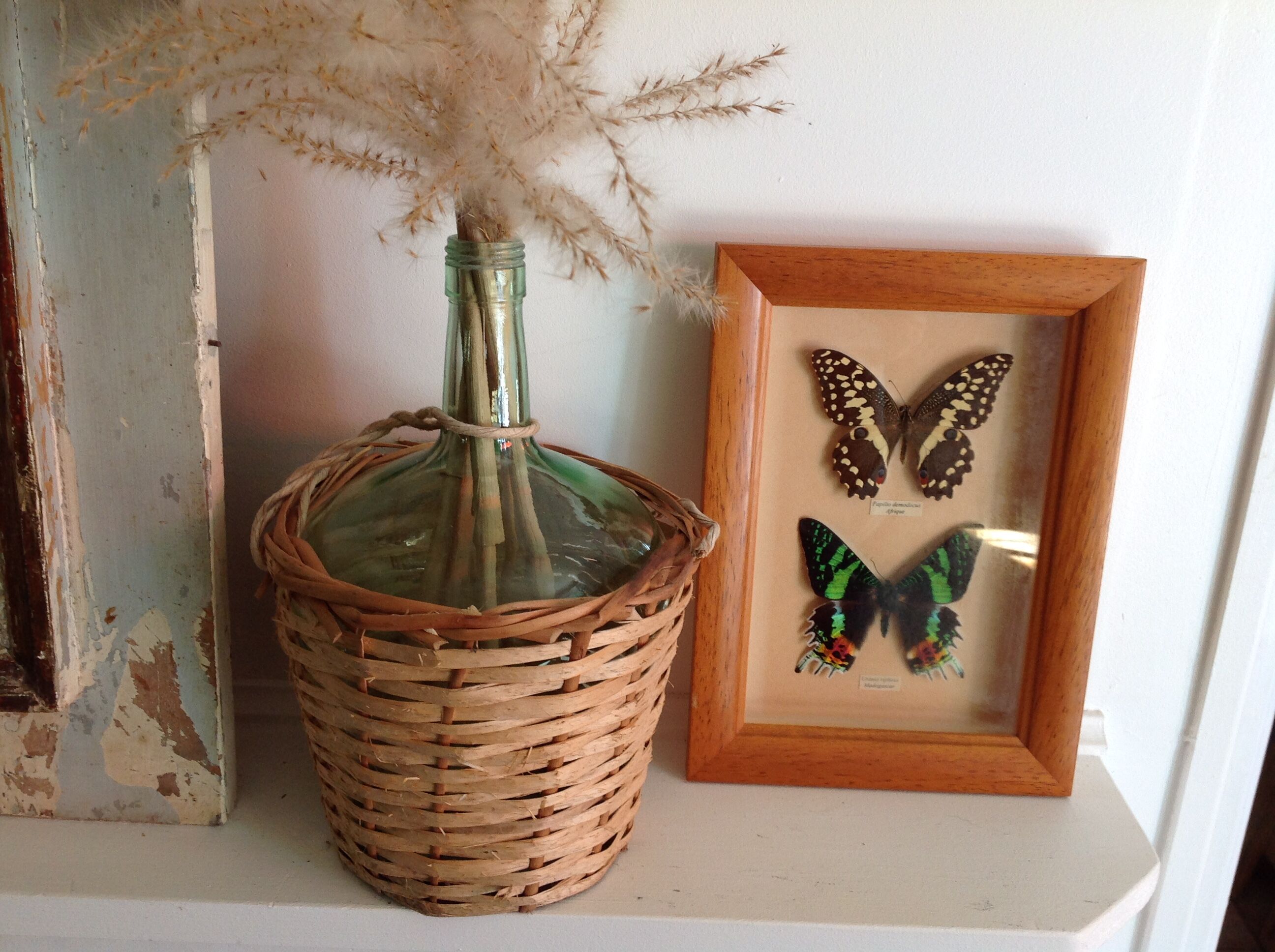 Butterfly frame