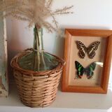 Butterfly frame