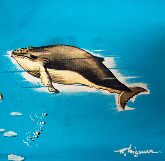 Affiche "les animaux du monde" 1964