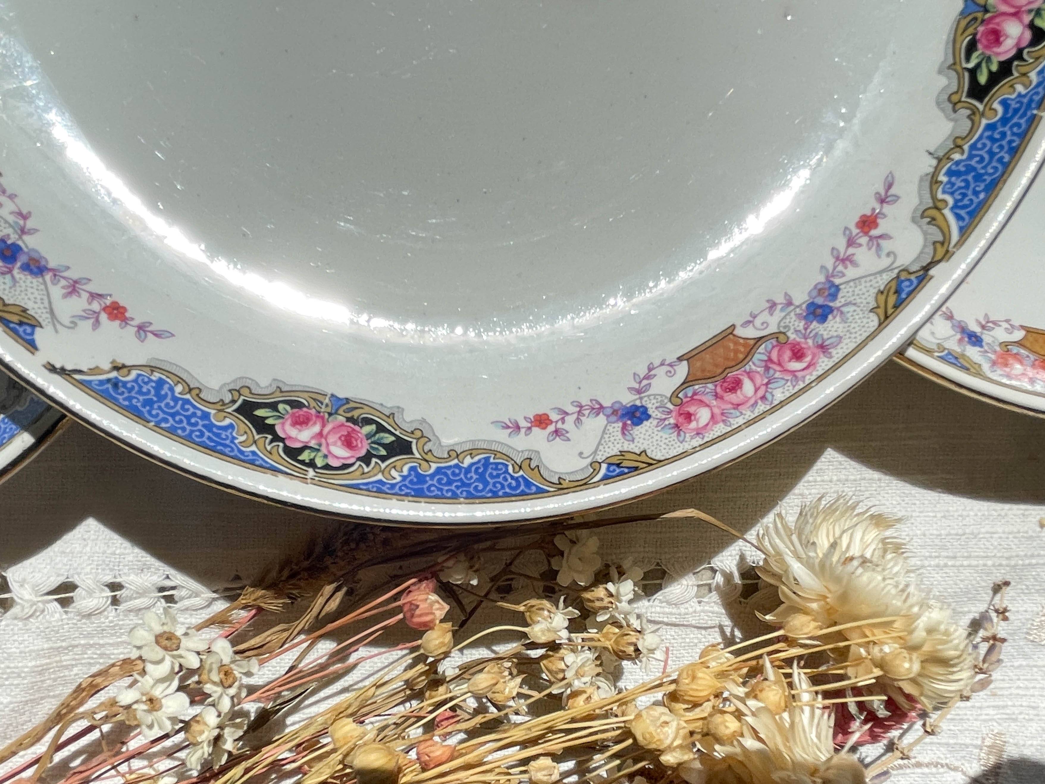 6 Small vintage French DIGOIN SARREGUEMINES flower plates 1950