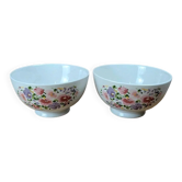 Lot de 2 bols vintage en porcelaine décor floral