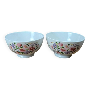 Lot de 2 bols vintage en porcelaine décor floral