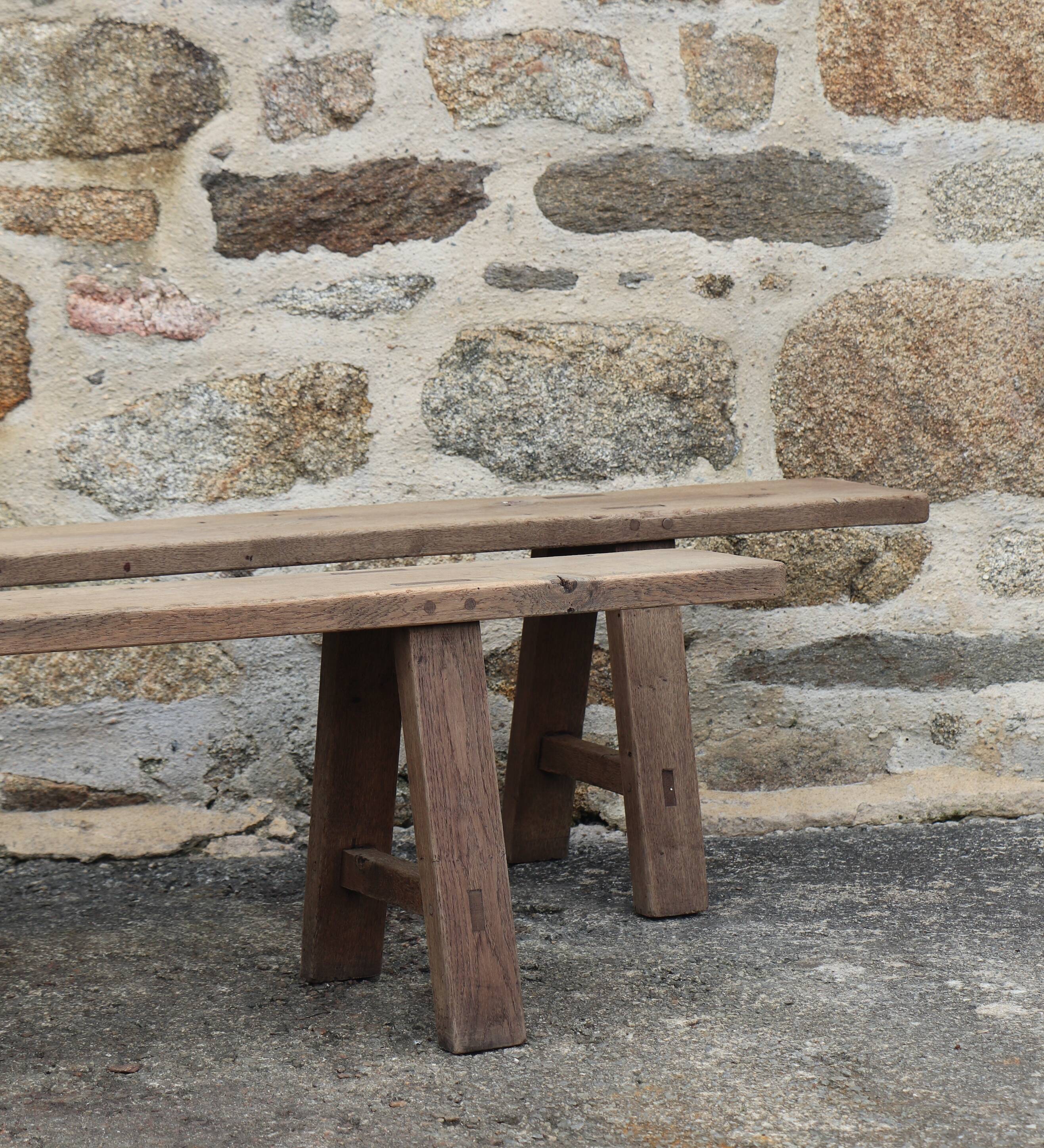 Pair of large solid wood benches XIXth