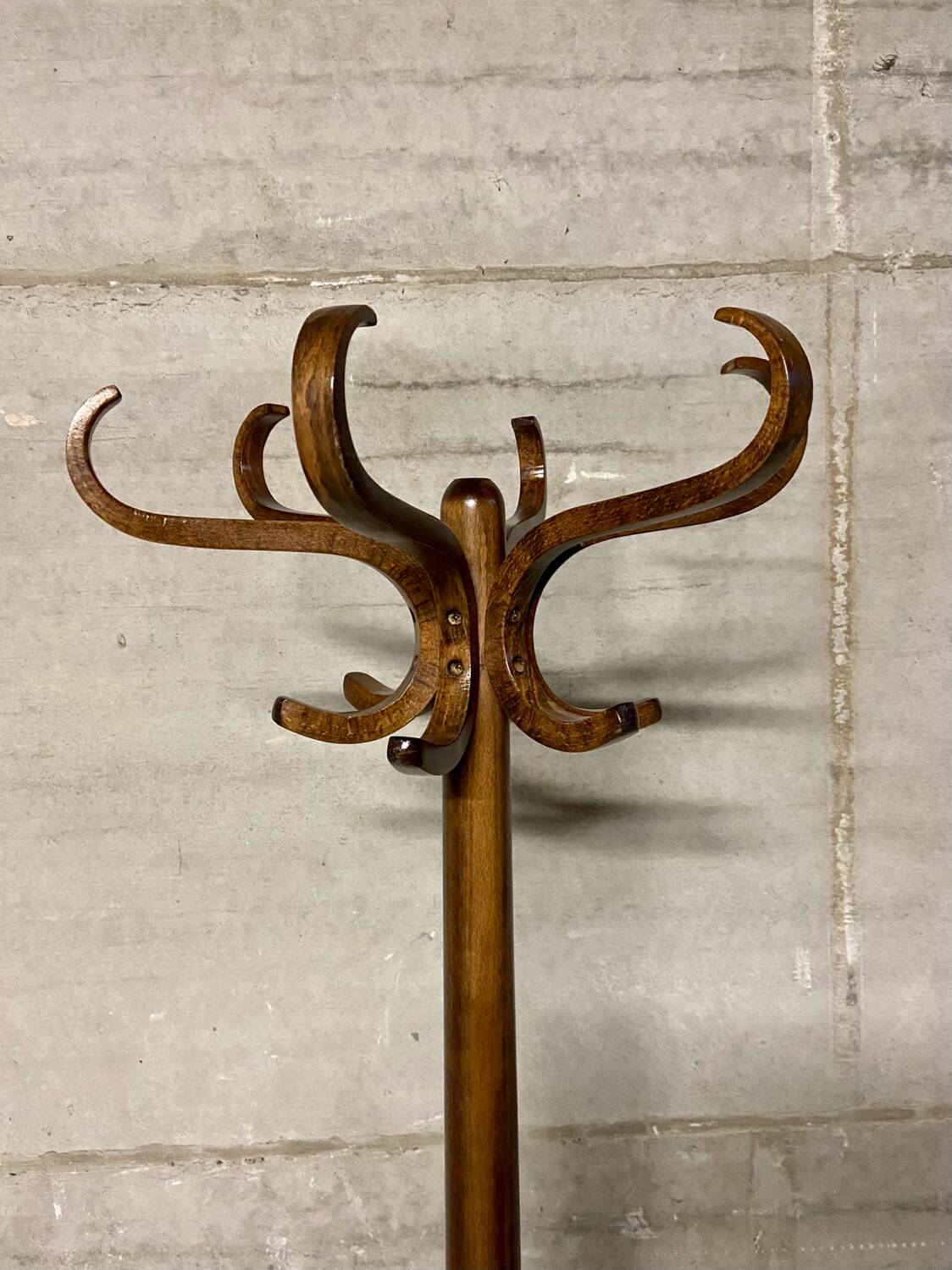 Baumann parrot coat rack