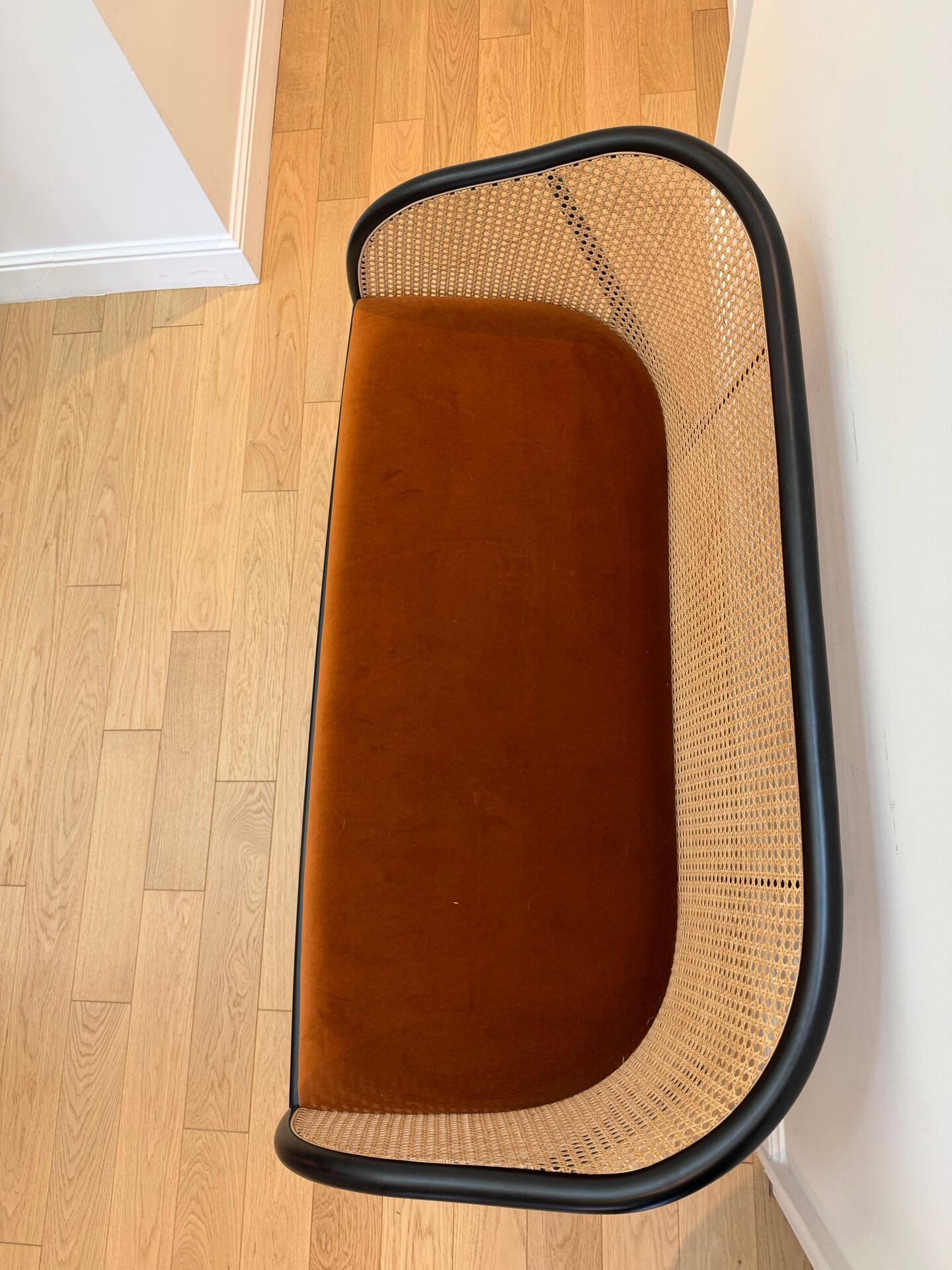 Horse bench - the socialite family