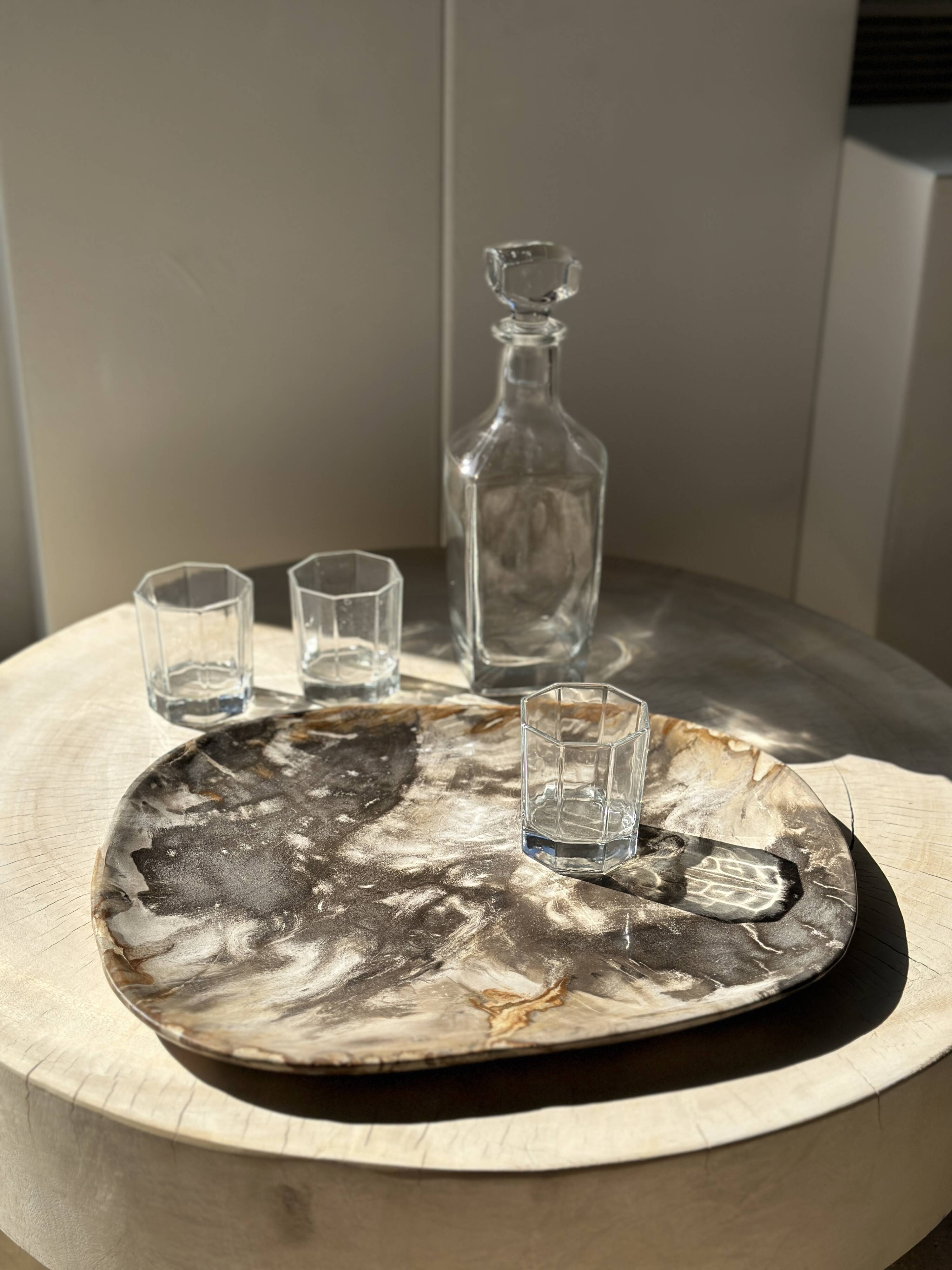 Very large pocket or dish in petrified wood