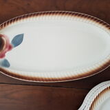 Plates and fish dish