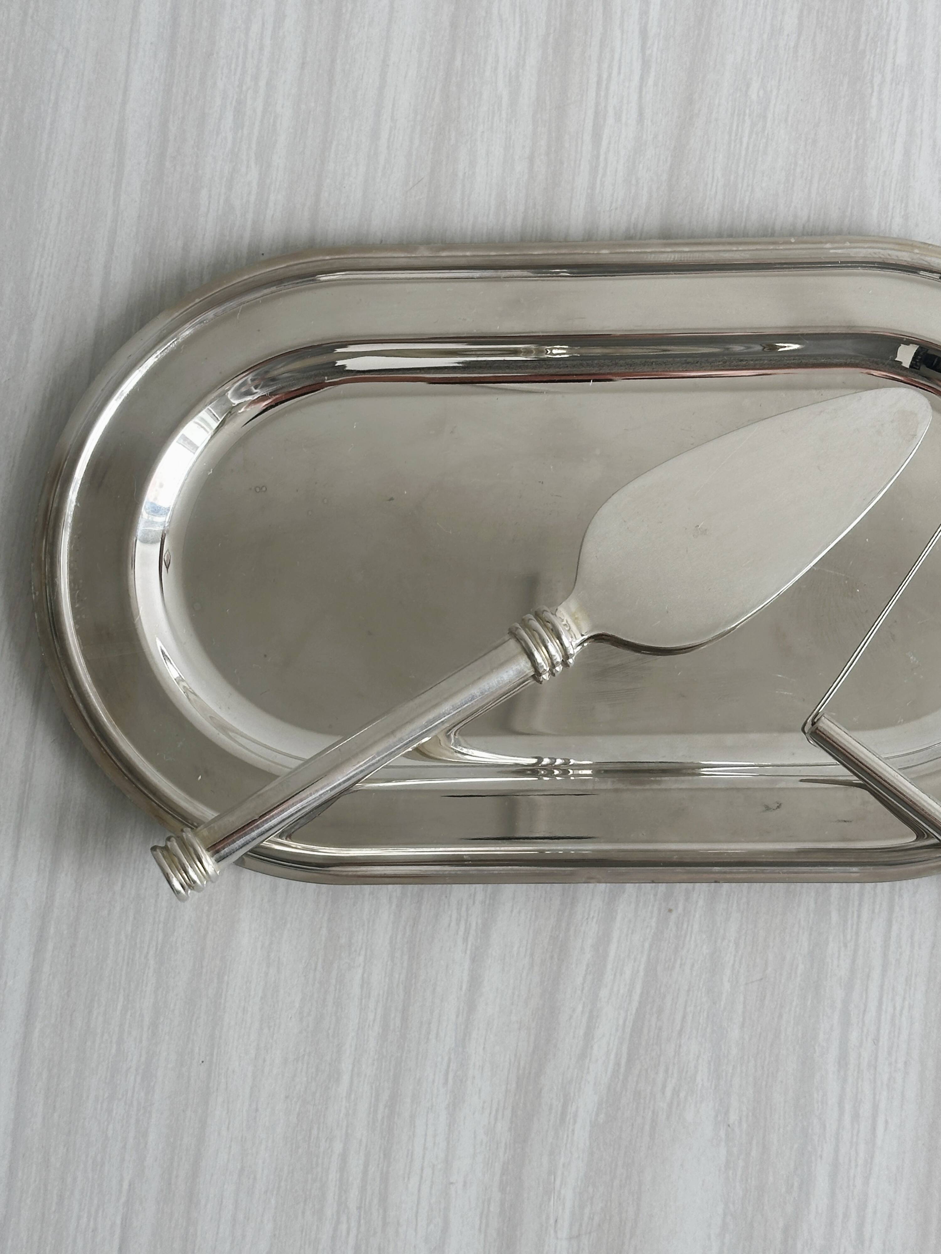 Foie gras set in shiny silver metal