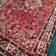Iranian wool rug - Handmade - 274x158cm