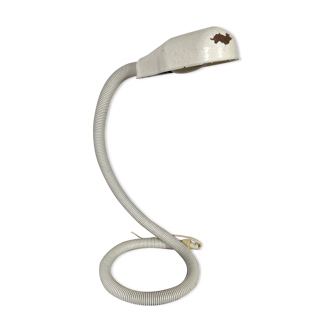 Articulated lamp