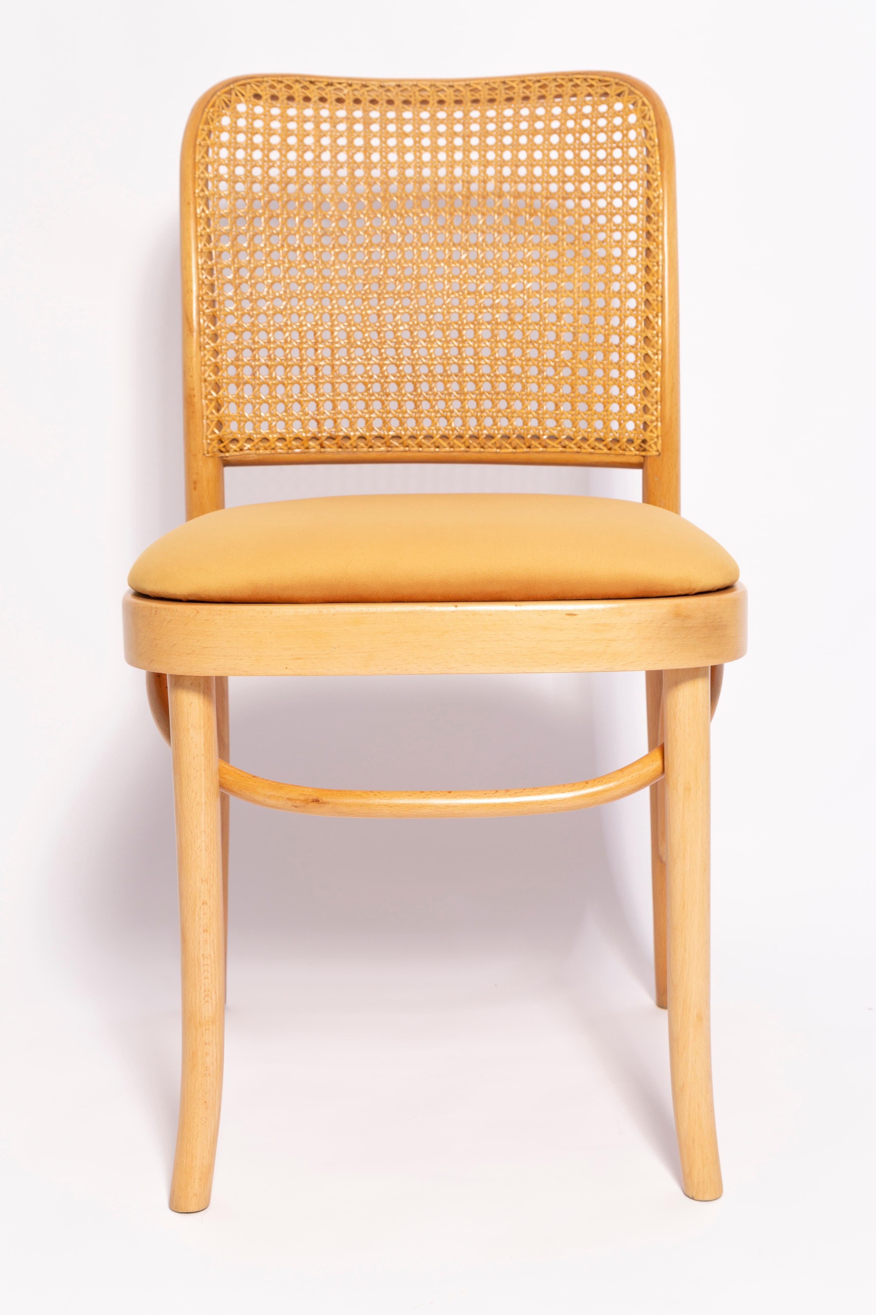 Thonet chair in rattan and yellow velvet wood from the mid-century, Europe, 1960s.