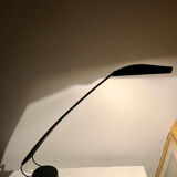 Dove desk lamp by Marco Colombo and Mario Barbaglia 1980s