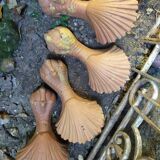 Cast iron bathtub legs