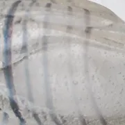 Shell-shaped glass catchall