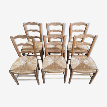 6 chaises paillées rustiques en frêne