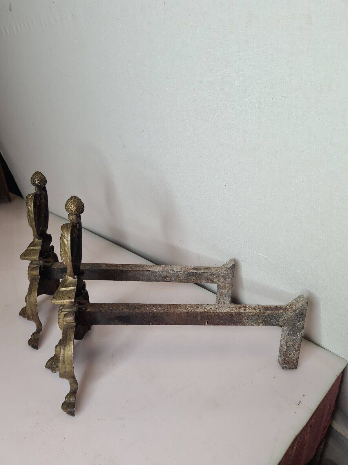 Pair of andirons for the bronze fireplace