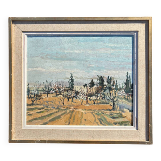 Old painting signed, apricot trees in bloom, 1968