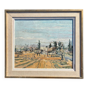 Old painting signed, apricot trees in bloom, 1968