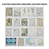 Gravure ancienne 1898, Couleurs 2, multicolore, dégradé • Lithographie, Planche originale
