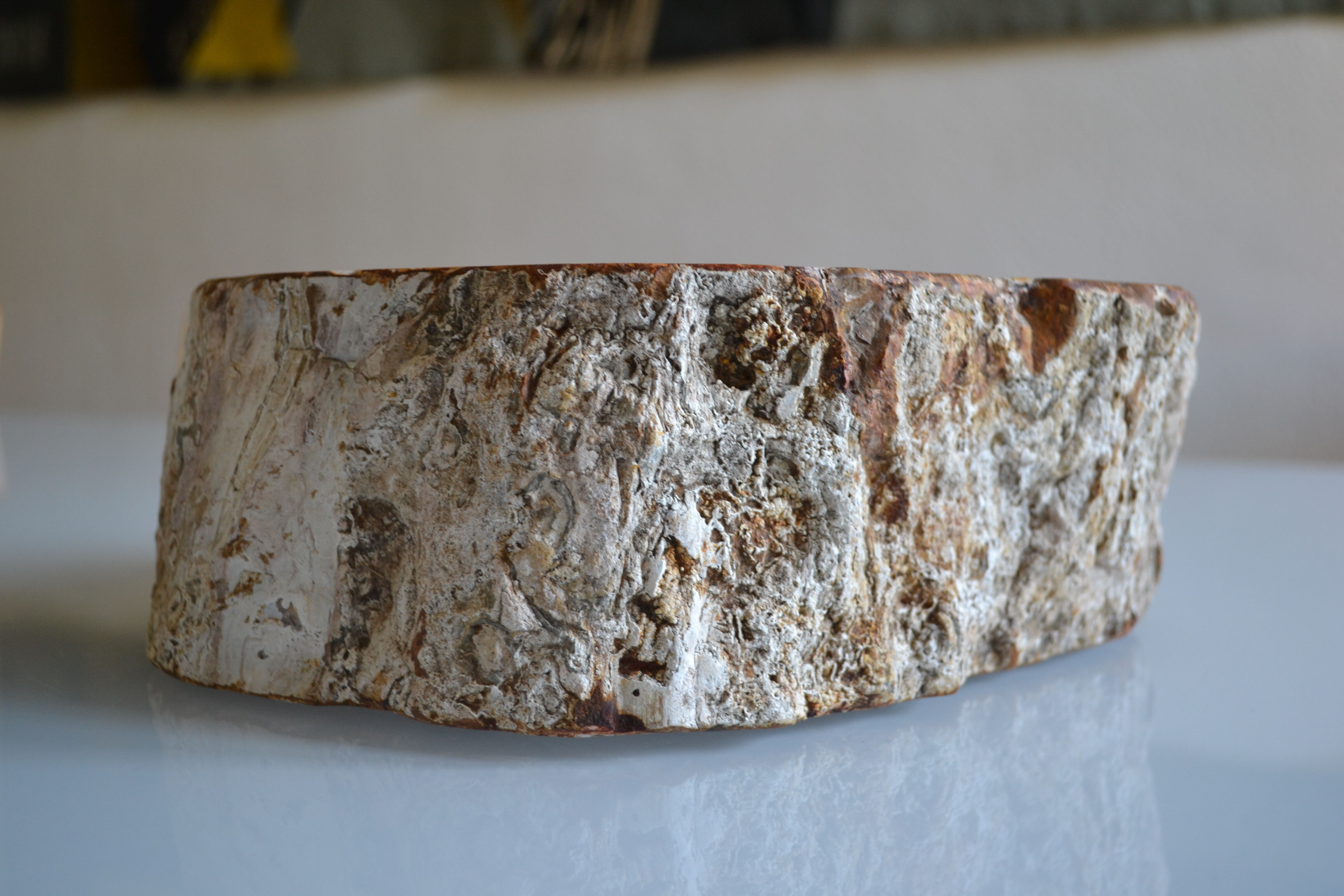 Empty pocket or ashtray in fossilized wood