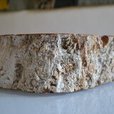 Empty pocket or ashtray in fossilized wood