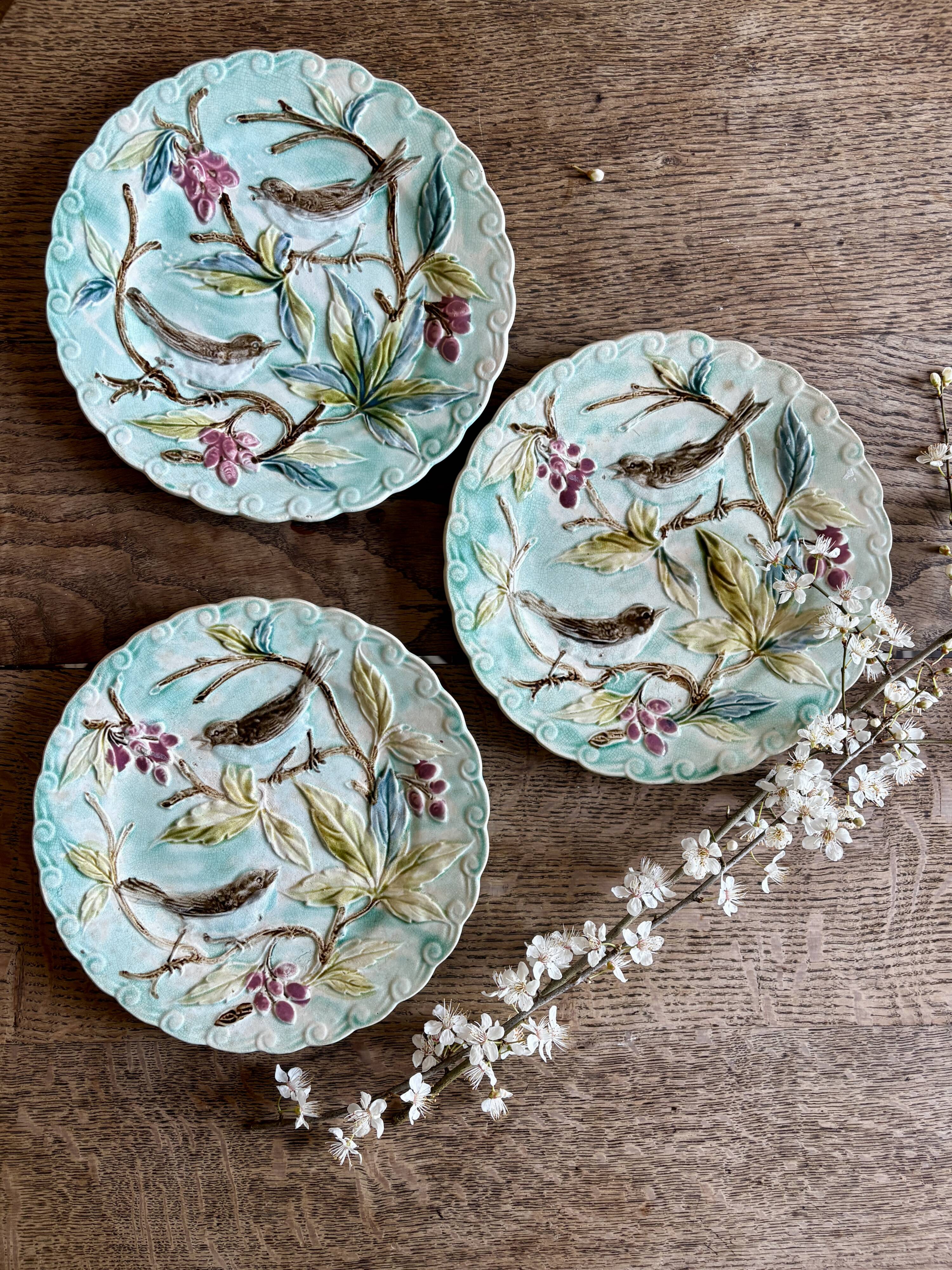 Set of 3 antique plates in majolica with bird designs.
