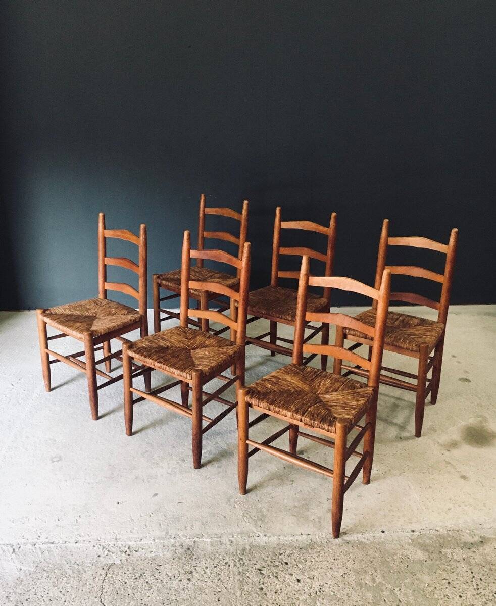 Low rustic ladder back dining chairs in oak and rush, Belgium, 1950s, set of 6.