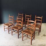 Low rustic ladder back dining chairs in oak and rush, Belgium, 1950s, set of 6.