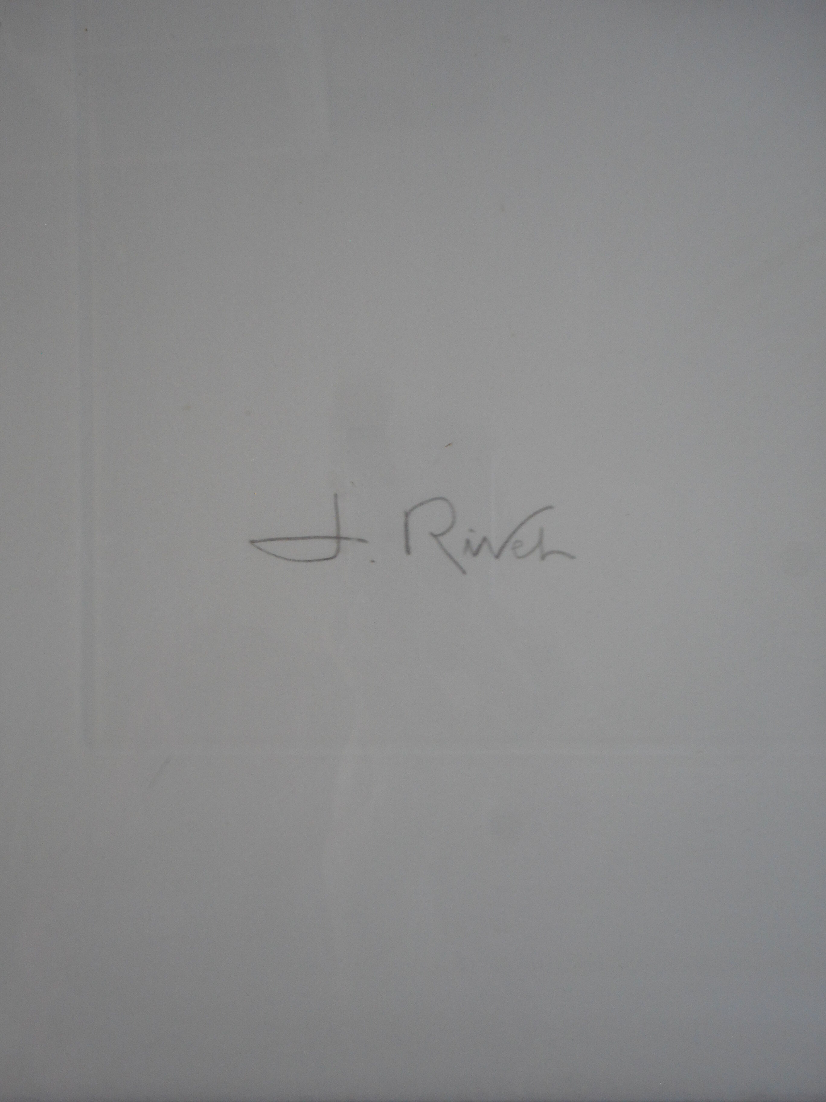 Portrait of a horse lithograph by jean rivet