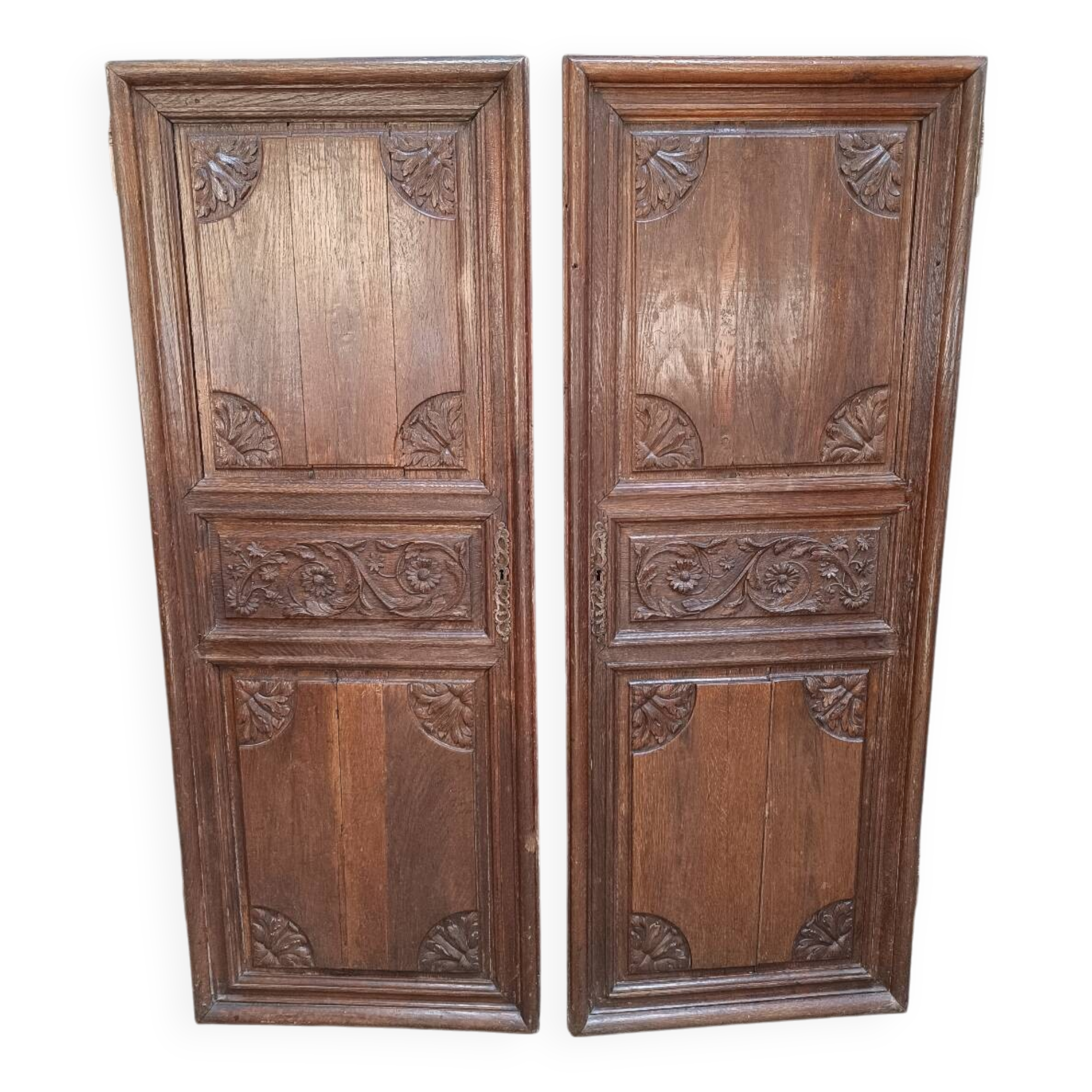 Paire de portes d'armoires ancienne