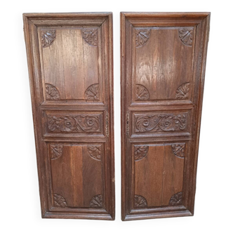 Pair of antique cabinet doors